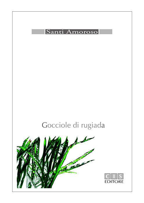 gocciole-di-rugiada